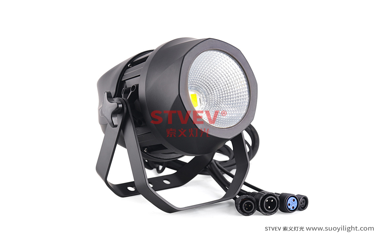 Norway200W Waterproof COB Par Light