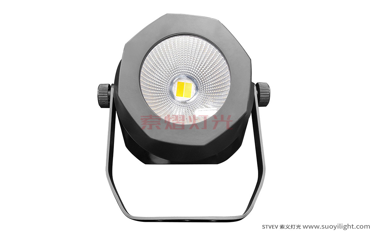 Norway200W Waterproof COB Par Light